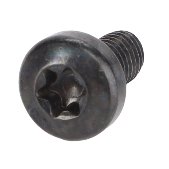 Винт с полукруглой головкой