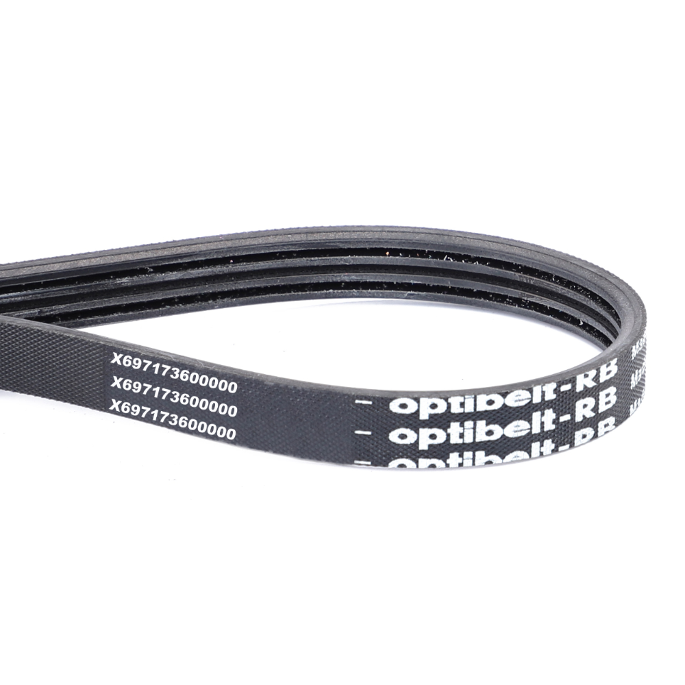 Змеиный пояс