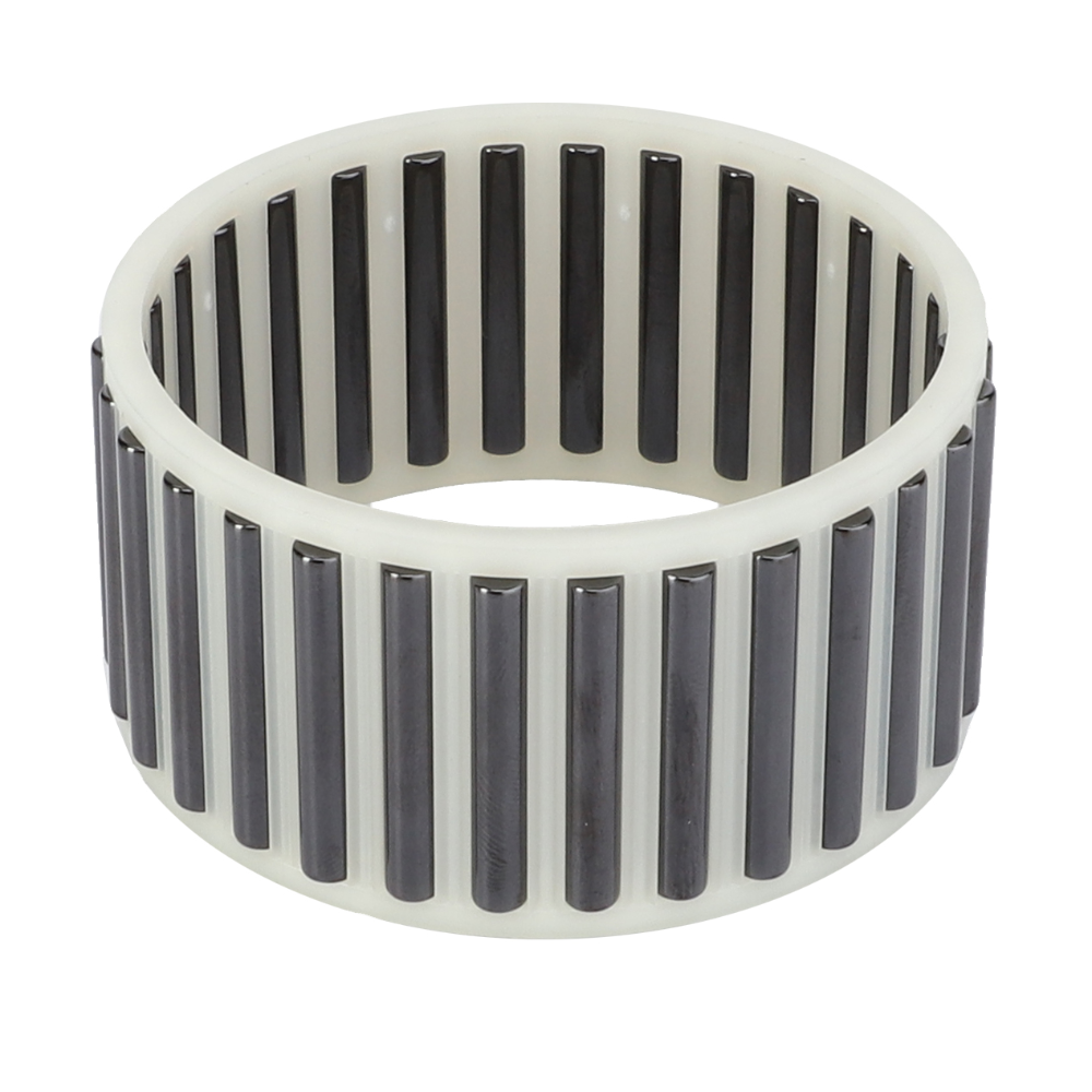 Игольчатая клетка