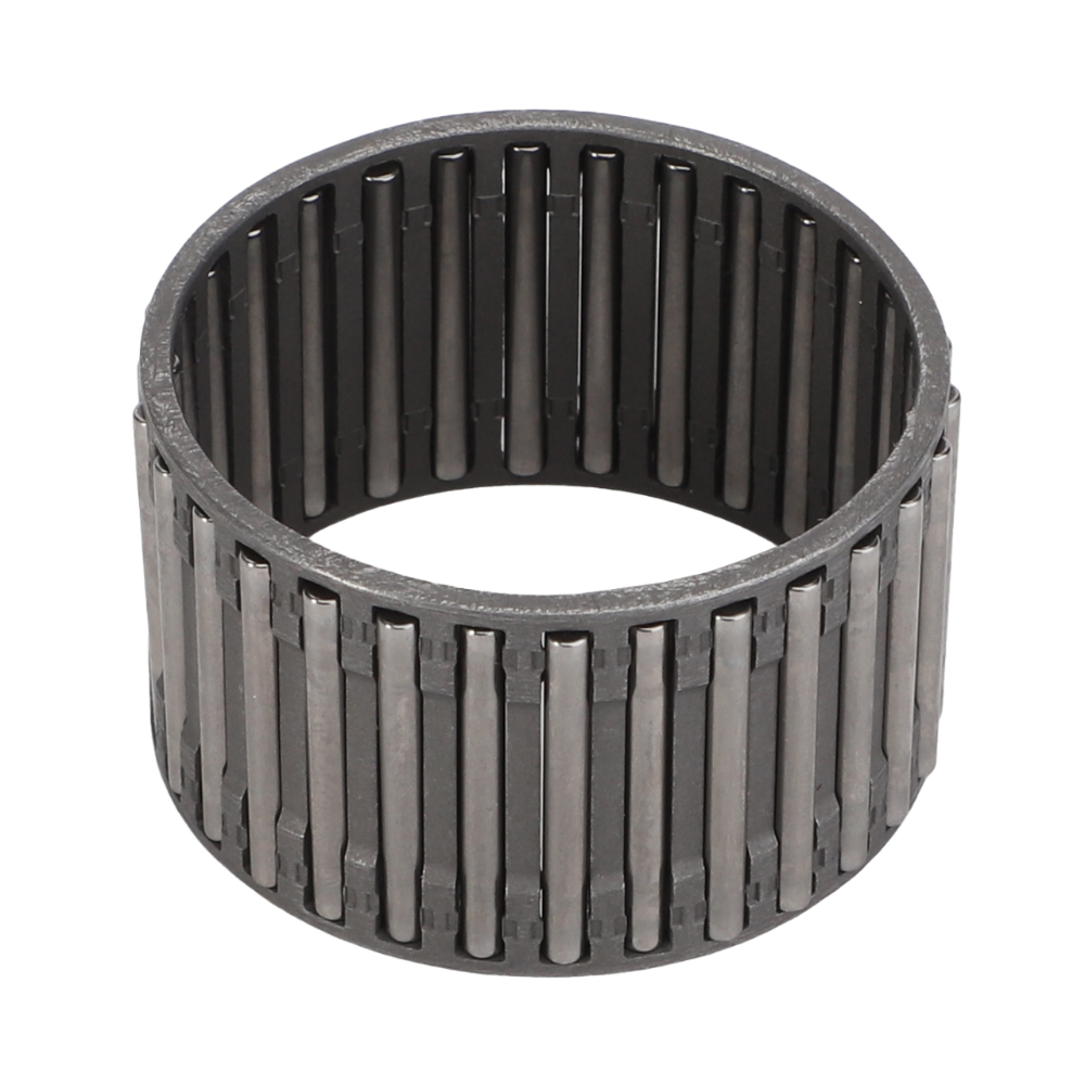 Игольчатая клетка