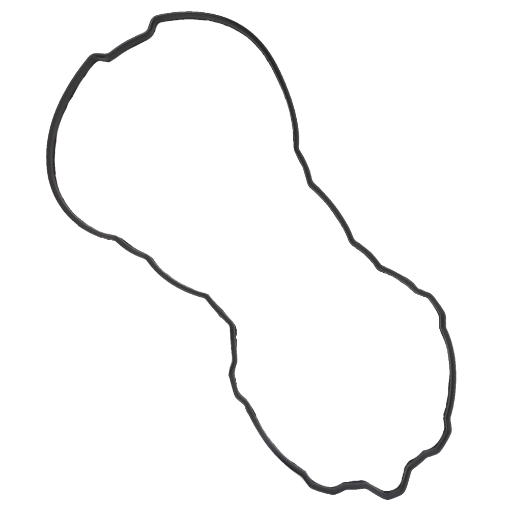 ПРОКЛАДКА КРЫШКИ