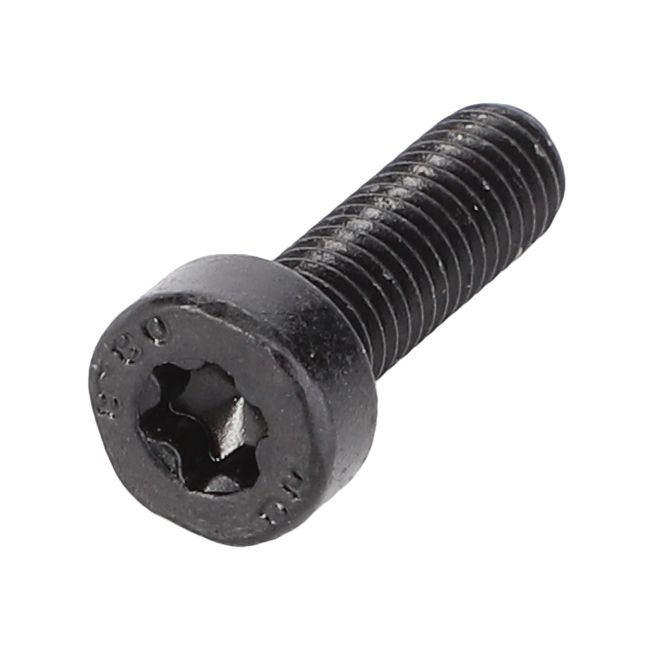 ВИНТ TORX