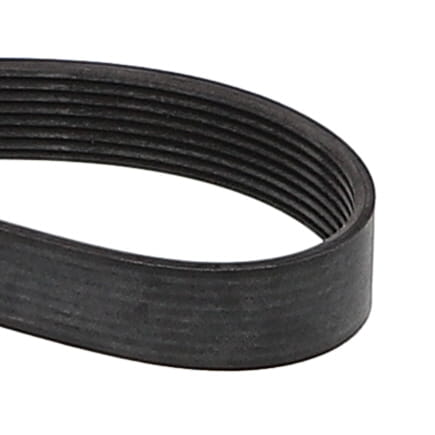 Змеиный пояс