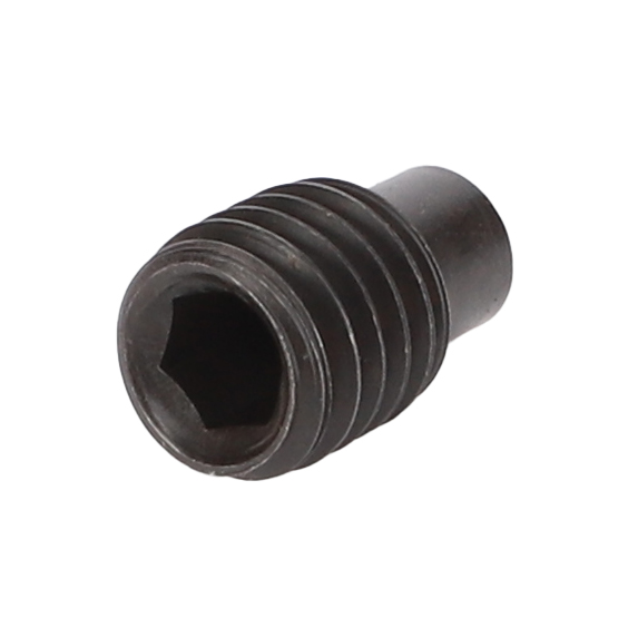 КРЕПЕЖНЫЙ ВИНТ