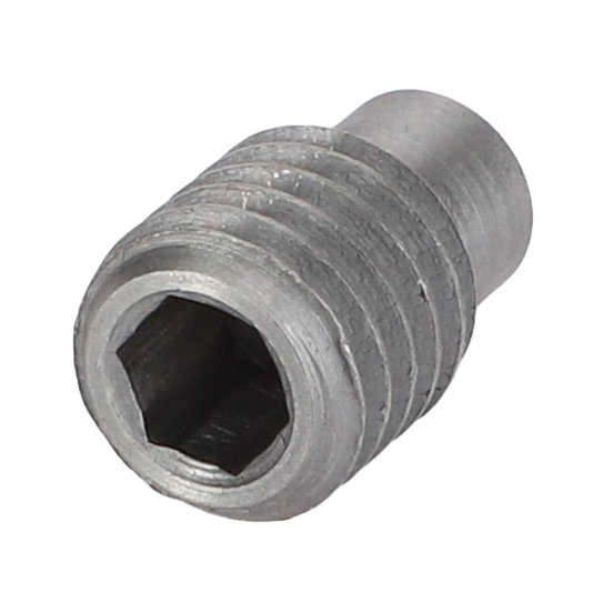 ПРЕДОХРАНИТЕЛЬНЫЙ ВИНТ