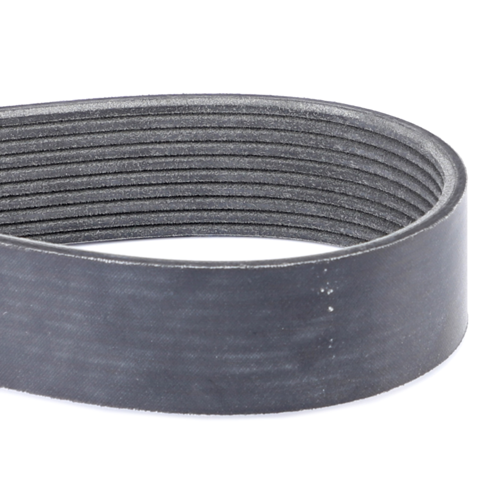 Змеиный пояс