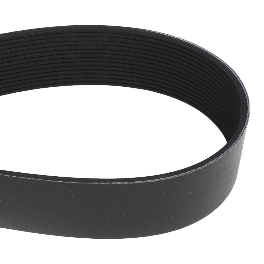 Змеиный пояс